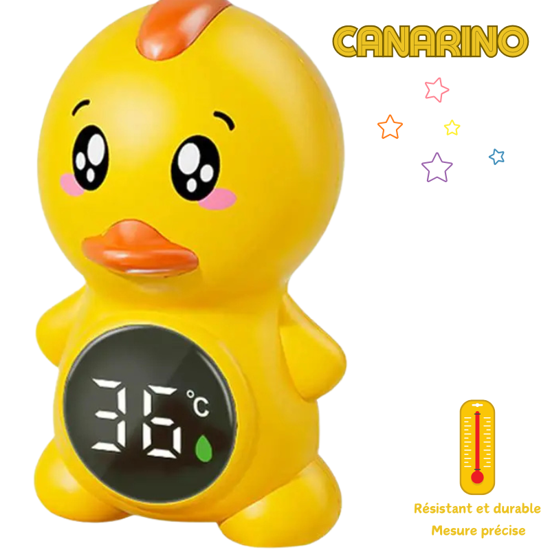 Canarino