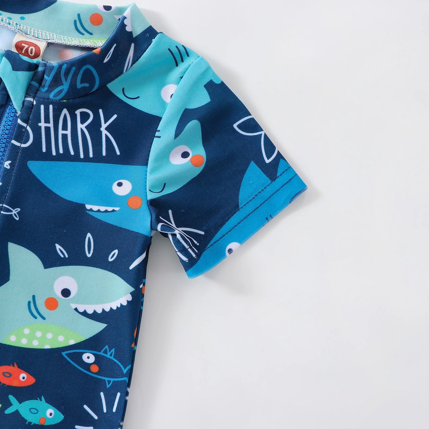 Little shark
