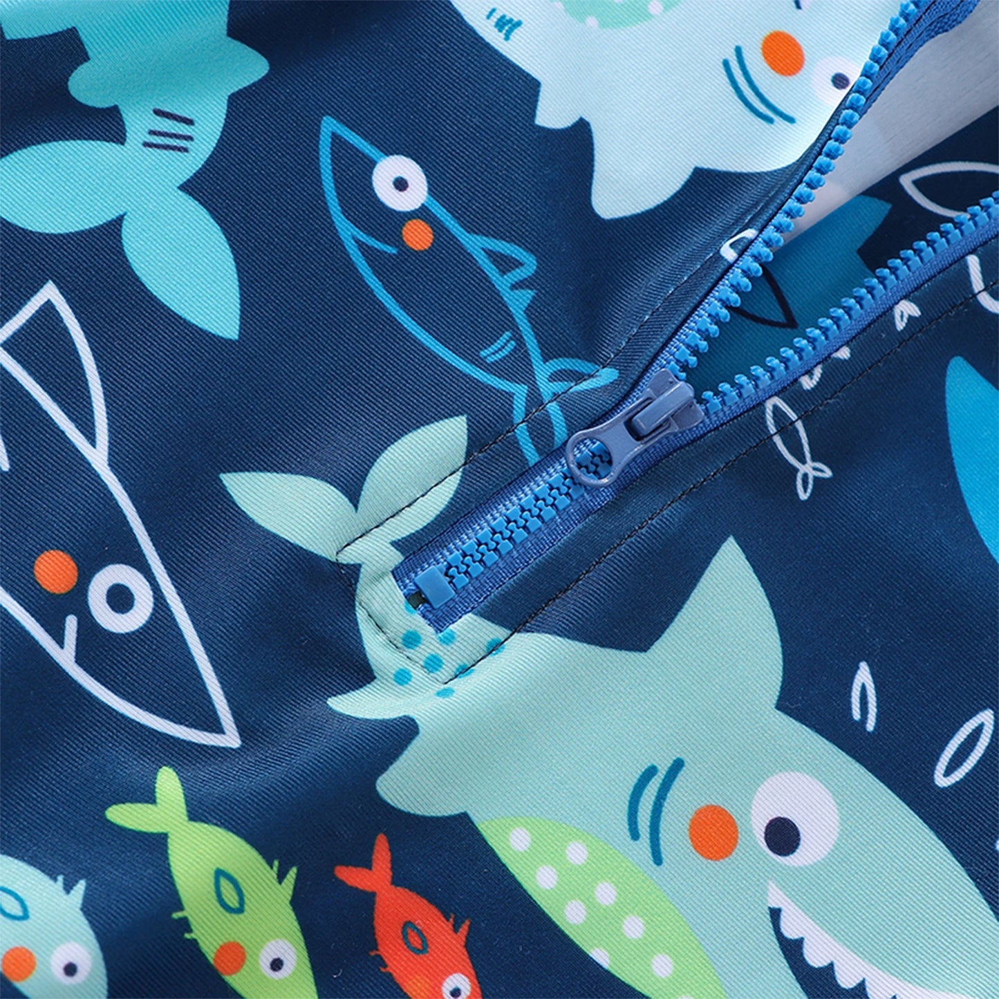 Little shark