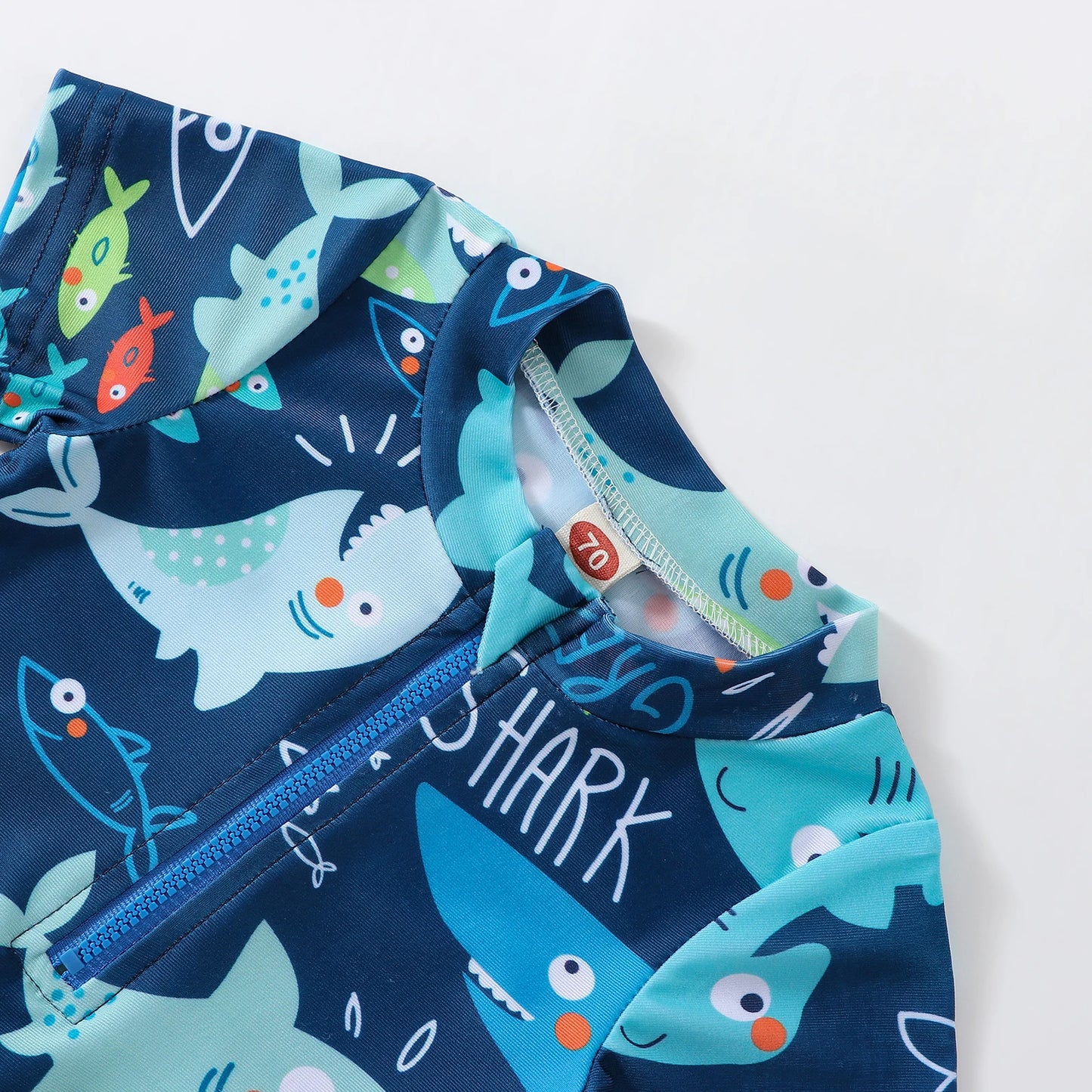 Little shark