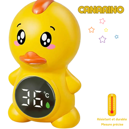 Canarino