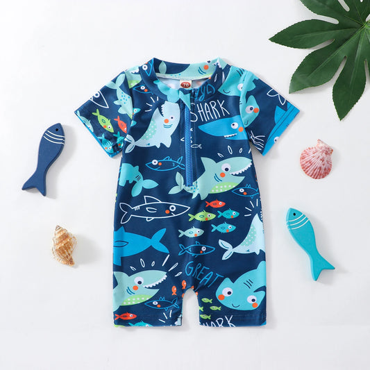 Little shark